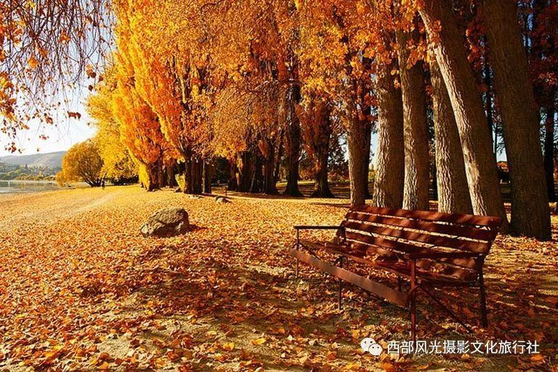 深度交流,尽在win10提示因为文件包含病毒
